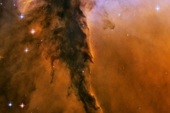 The Eagle has risen: Stellar spire in the Eagle Nebula