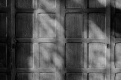 Bryn-Mawr-Pennsylvania-November-2019-Silver-Gelatin-Print