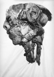 Portrait of Death