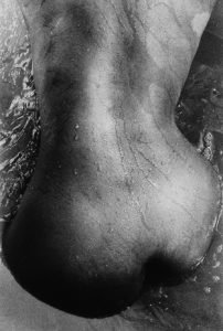 tony ward erotica early work portfolio classics erotica nudes black sexy women