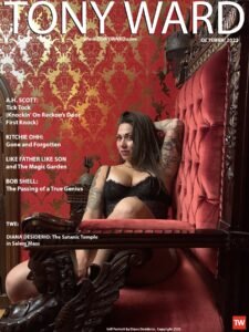 Diana Desiderio models lingerie on the cover of TonyWard.com