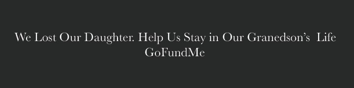 We lost our daughter. Help Us Stay in Our Grandson's Life. Go Fund Me